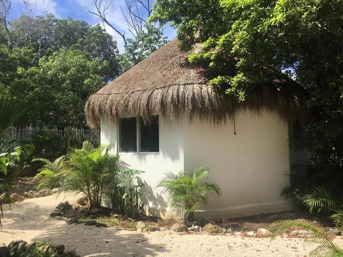 Maya Pax Hotel Tulum