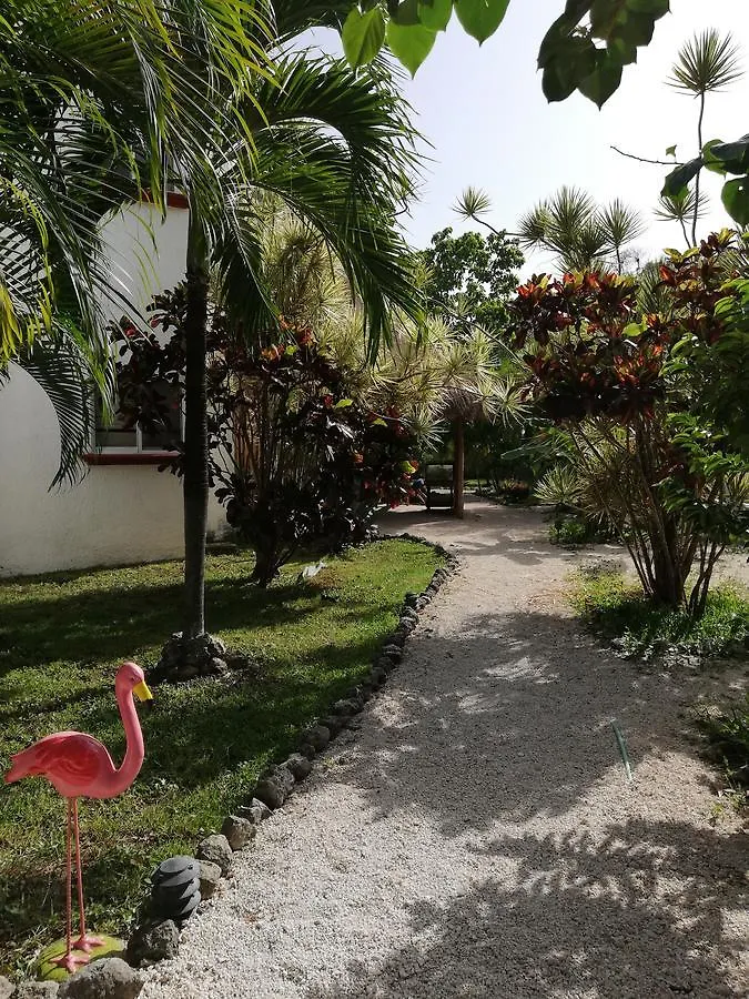 ***  Maya Pax Hotel Tulum Mexico